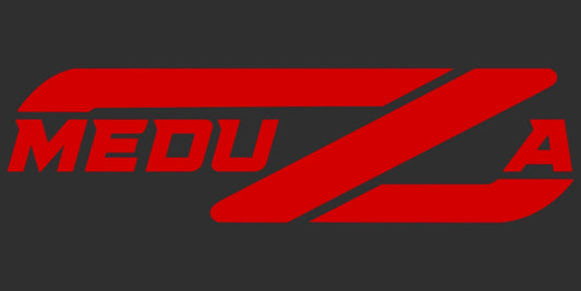 Custom 300ZX Logo